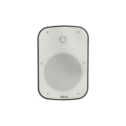 Intrend ITSPK-650WWT-W - Акустическая система