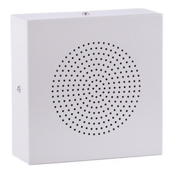ROXTON WS-06T - Настенный громкоговоритель