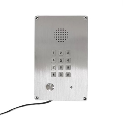 Termit PublicPhone AHF100FK-3G - Антивандальное переговорное устройство