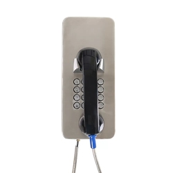 Termit PublicPhone AHS104FK-2G - Антивандальный телефон