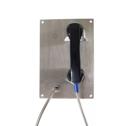 Termit PublicPhone AHS107HL-AT - Антивандальный  телефон