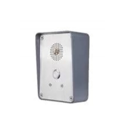 Termit PublicPhone WHF203K1-2G - Всепогодное переговорное устройство