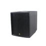 Lucky Tone DP 120 SUB DSP
